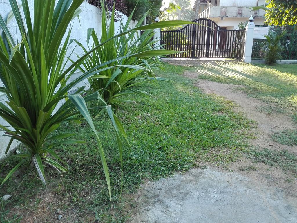 Beach Corner Hotel Weligama Exterior foto